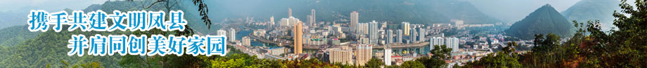 中環控股集團